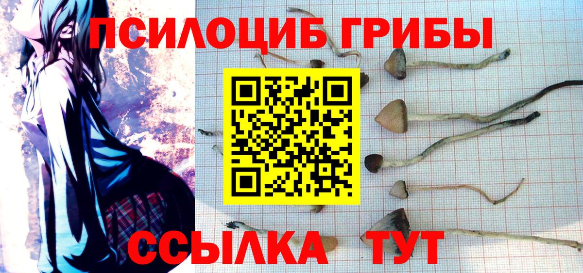 Галлюциногенные грибы Psilocybine cubensis  Вход с VPN  Братск  Псилоцибиновые грибы MAGIC MUSHROOMS 